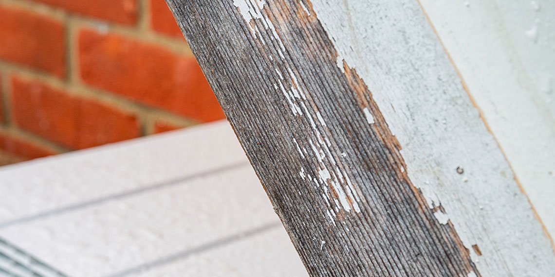 Timber Fascia Replacement