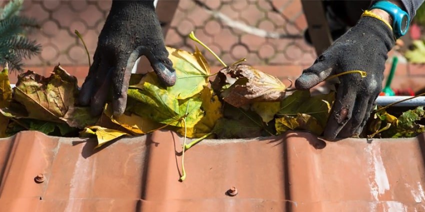 blog-clean-gutters-reg-min