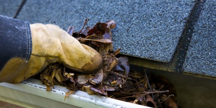 blog-will-blocked-gutter-damage-home-min